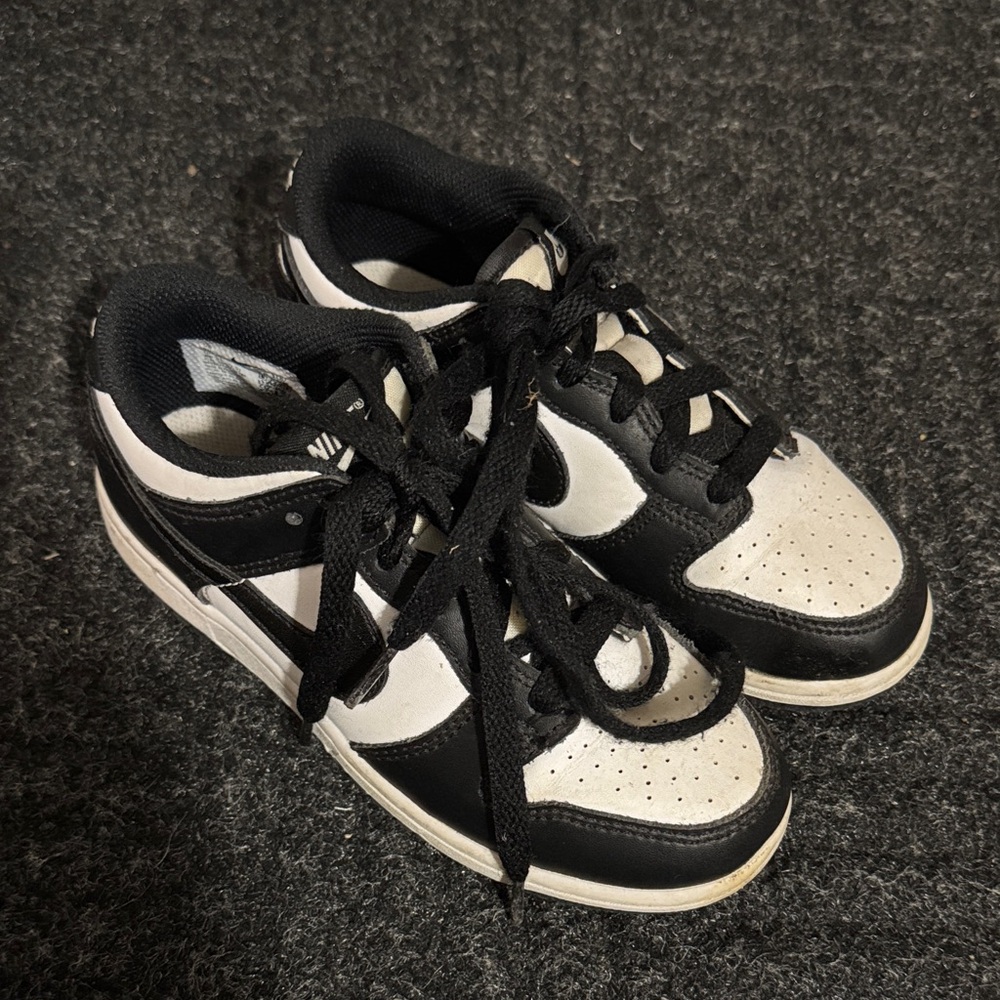 Kids Nike Dunks